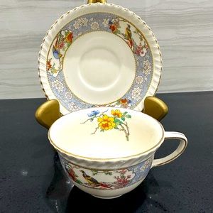 Johnson Brothers Tea Cup And Saucer.